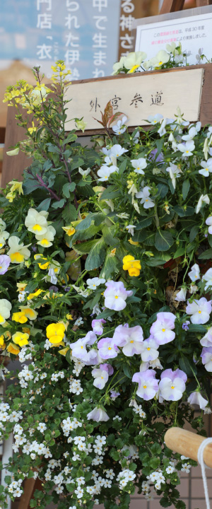 おもてなしの心